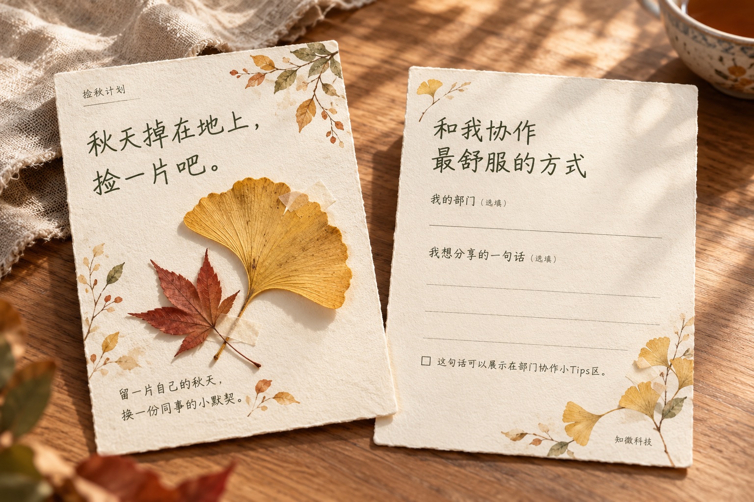 落叶卡正反面:叶片标本与自愿填写的协作偏好